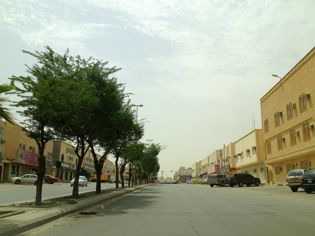 شارع الأمير هشام ( أهم شوارع الرياض )