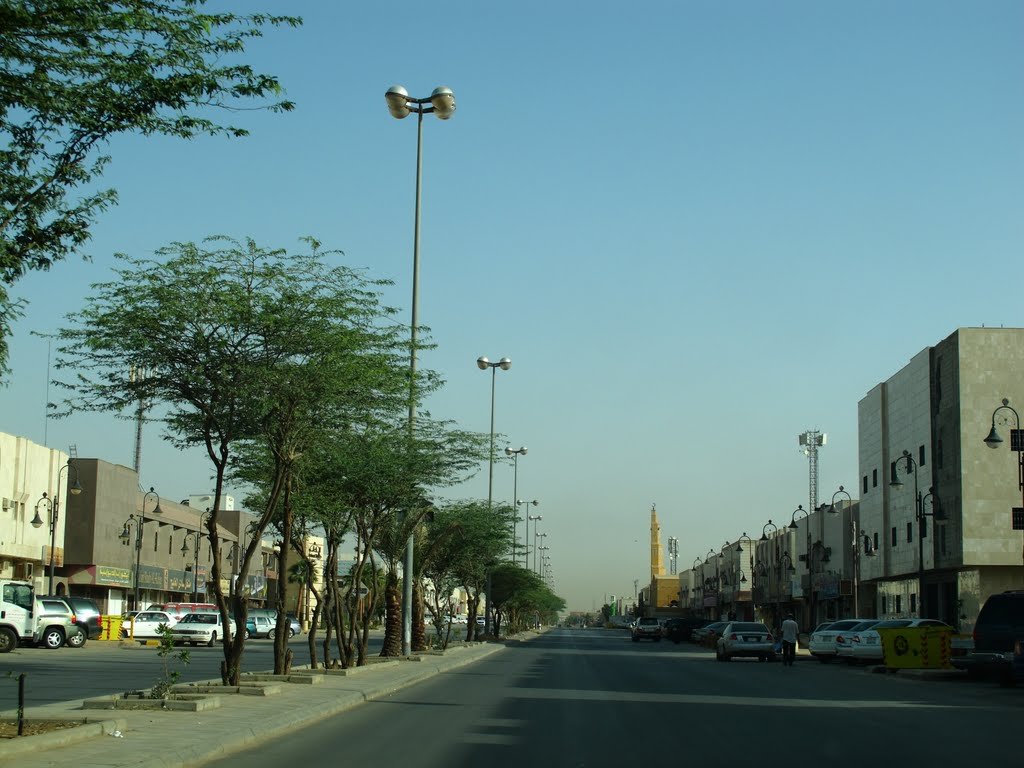 شارع المغيرة بن شعبة ( أهم شوارع الرياض )