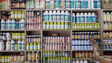 محلات مبيدات حشرية في جدة
