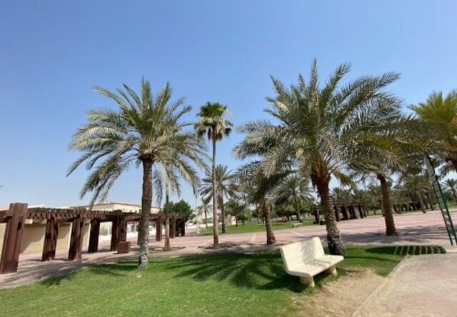 الأنشطة الترفيهية والخدمات في حديقة صالح كامل في جدة