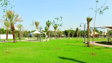 حديقة تهامة في جدة