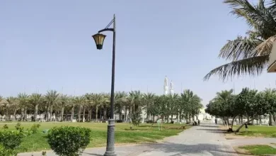 حديقة صالح كامل في جدة
