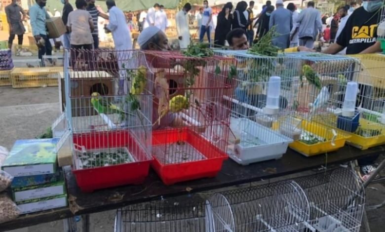 سوق الطيور في جدة