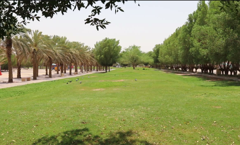 منتزهات الرياض