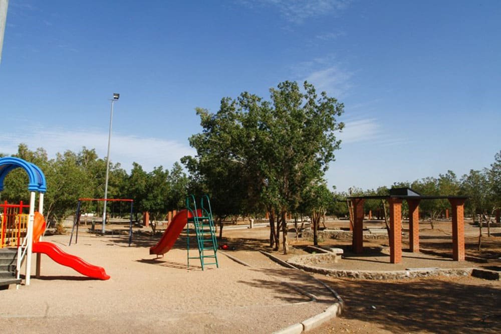 الأنشطة التي يمكن ممارستها داخل حديقة الملك فهد بالمدينة