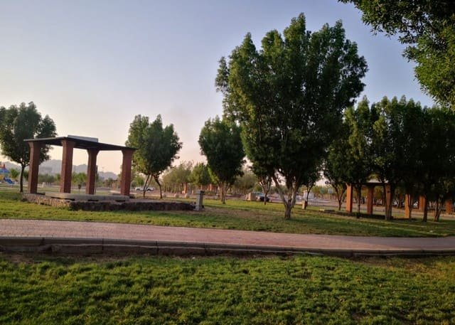 وصف حديقة الملك فهد بالمدينة