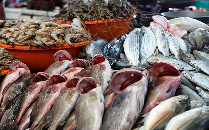 سوق أسماك المدينة