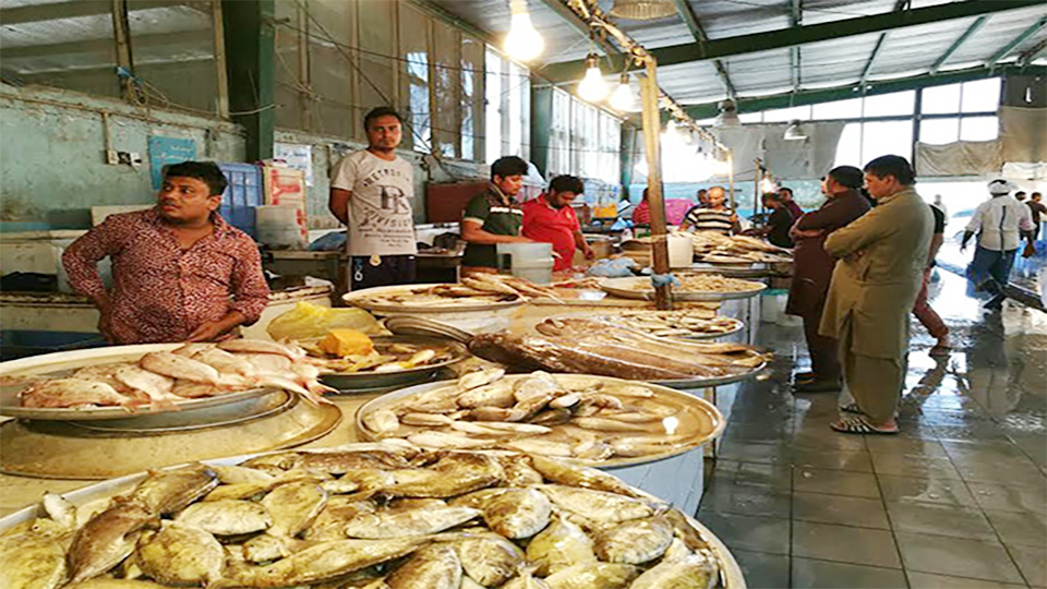 اسعار سوق السمك بالدمام