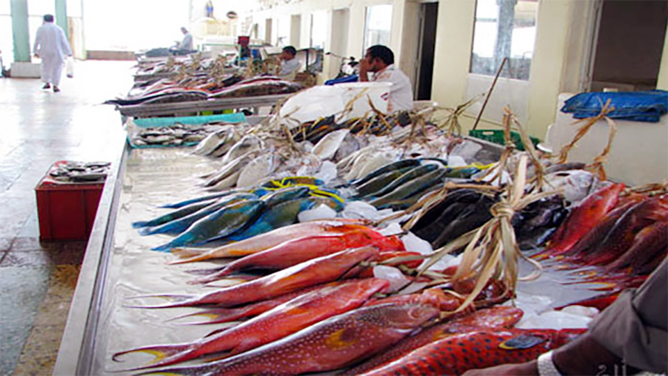 سوق السمك في الدمام